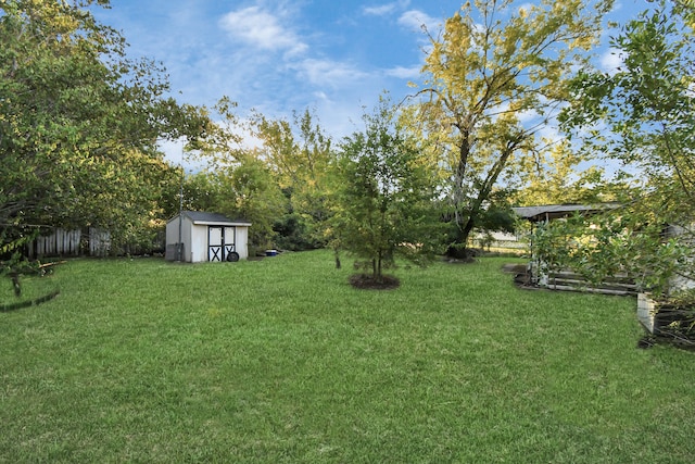 view of yard featuring a storage unit