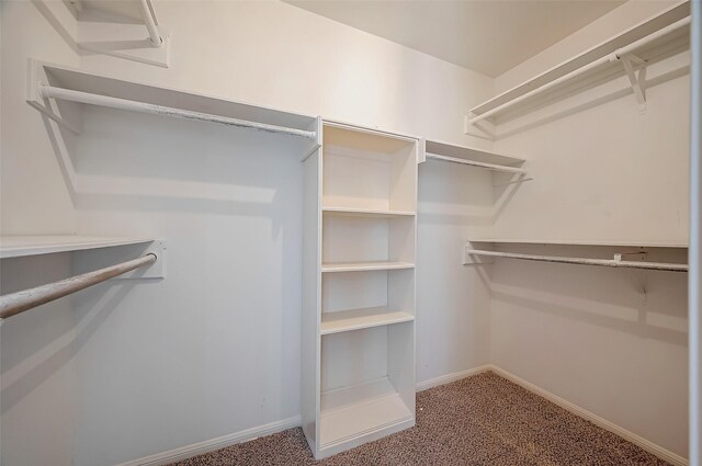 walk in closet featuring carpet