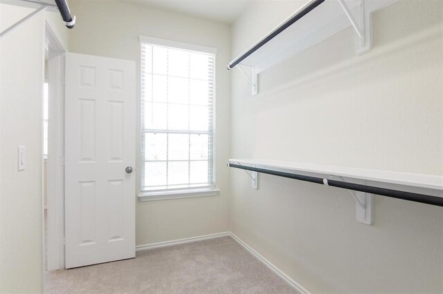 walk in closet with light colored carpet