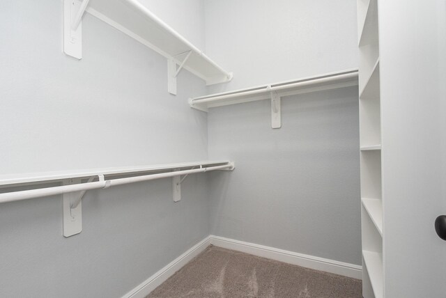 walk in closet with carpet flooring