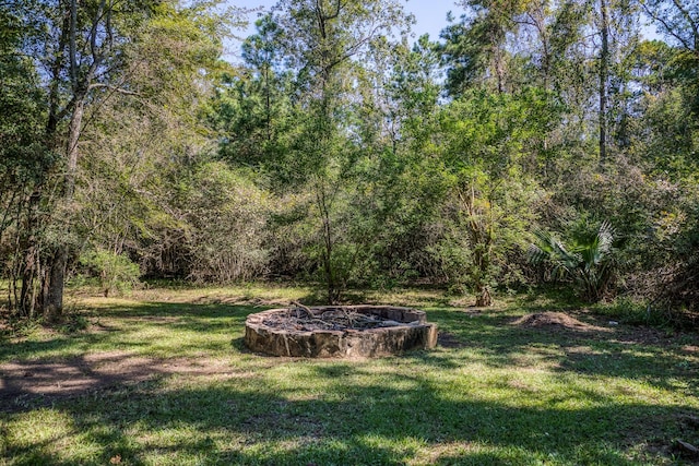 view of yard featuring a fire pit