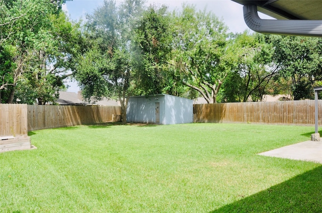 view of yard with a storage unit