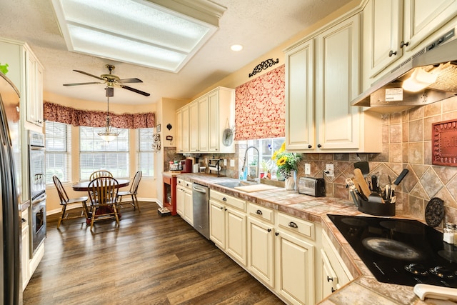 kitchen featuring sink, ceiling fan, dark hardwood / wood-style flooring, and plenty of natural light