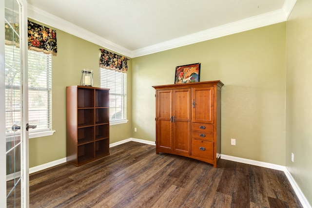 misc room featuring ornamental molding and dark hardwood / wood-style flooring