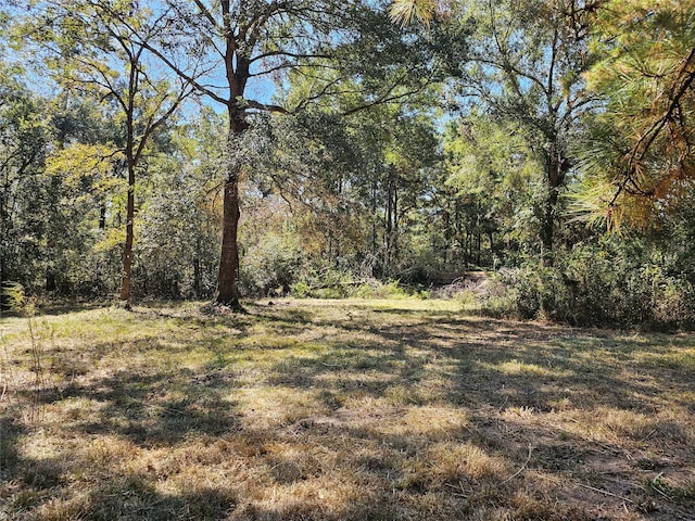 Listing photo 3 for 0 Beaver Run Dr, Huffman TX 77336