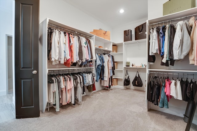 spacious closet featuring carpet flooring