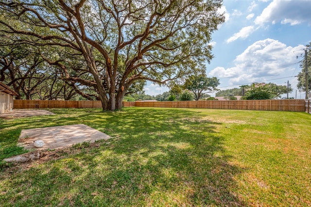 view of yard with a patio area