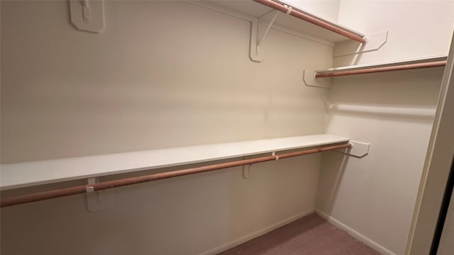 walk in closet with carpet