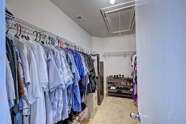 spacious closet with carpet floors