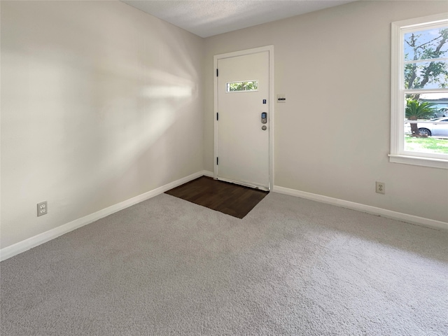 carpeted foyer with a healthy amount of sunlight