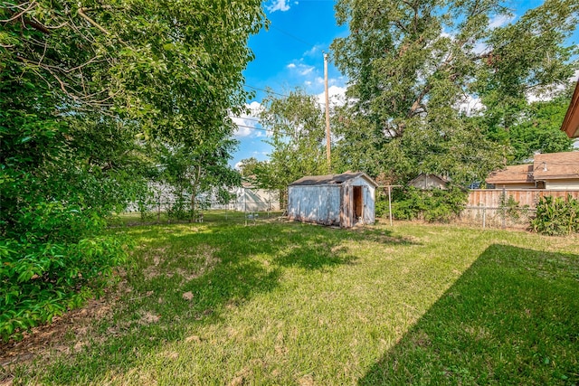 view of yard with a storage unit