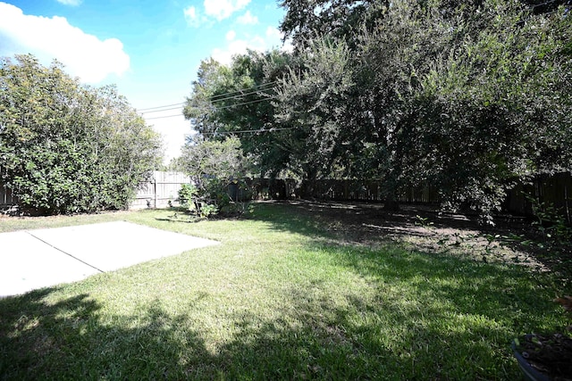 view of yard featuring a patio