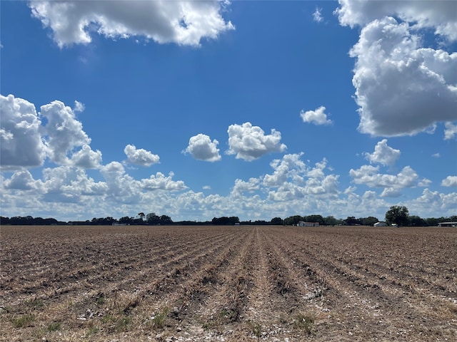 0 Pleak Rd, Pleak TX, 77469 land for sale