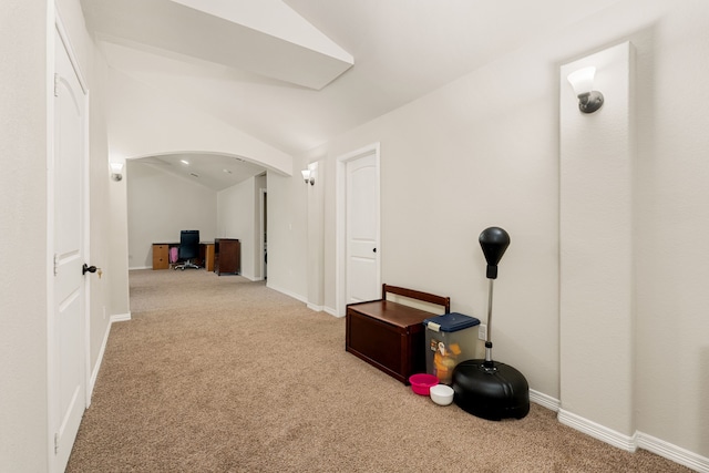 miscellaneous room featuring vaulted ceiling and carpet