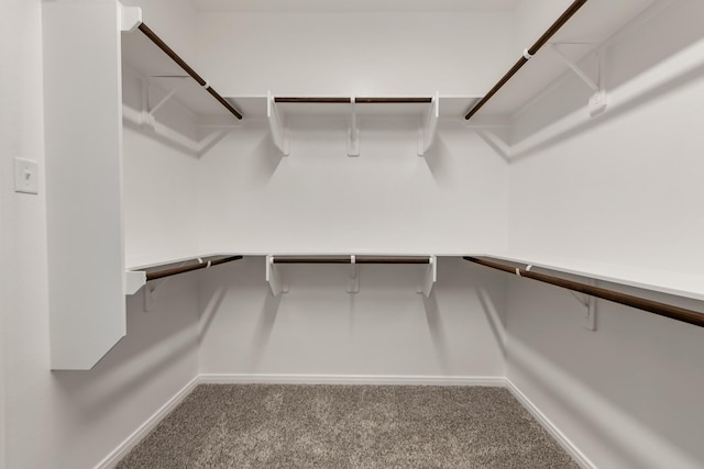 spacious closet featuring carpet floors