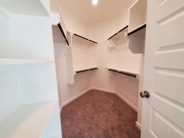 spacious closet with dark colored carpet