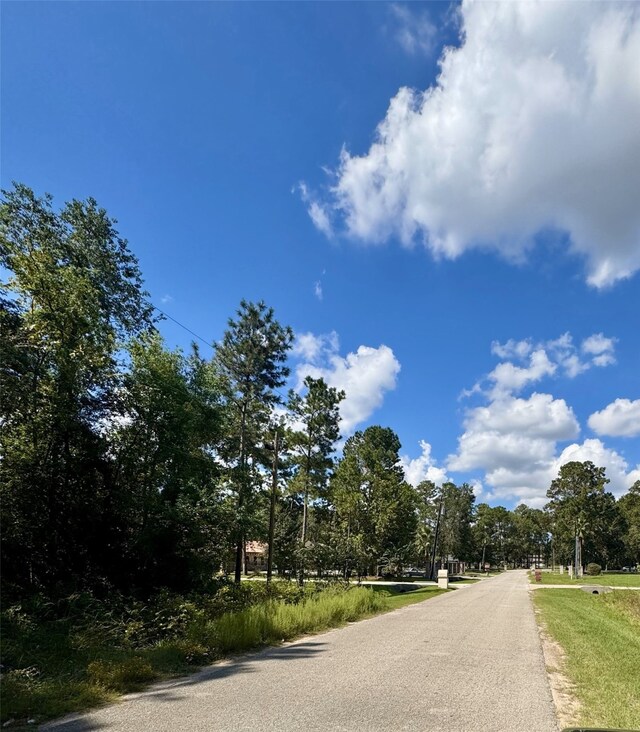 19574 Desna Dr, Porter, TX 77365 - photo 1
