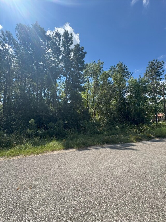 19574 Desna Dr, Porter, TX 77365 - photo 3