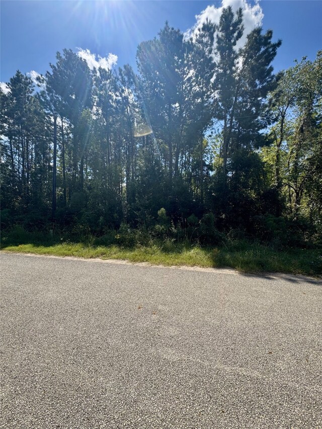 19574 Desna Dr, Porter, TX 77365 - photo 4