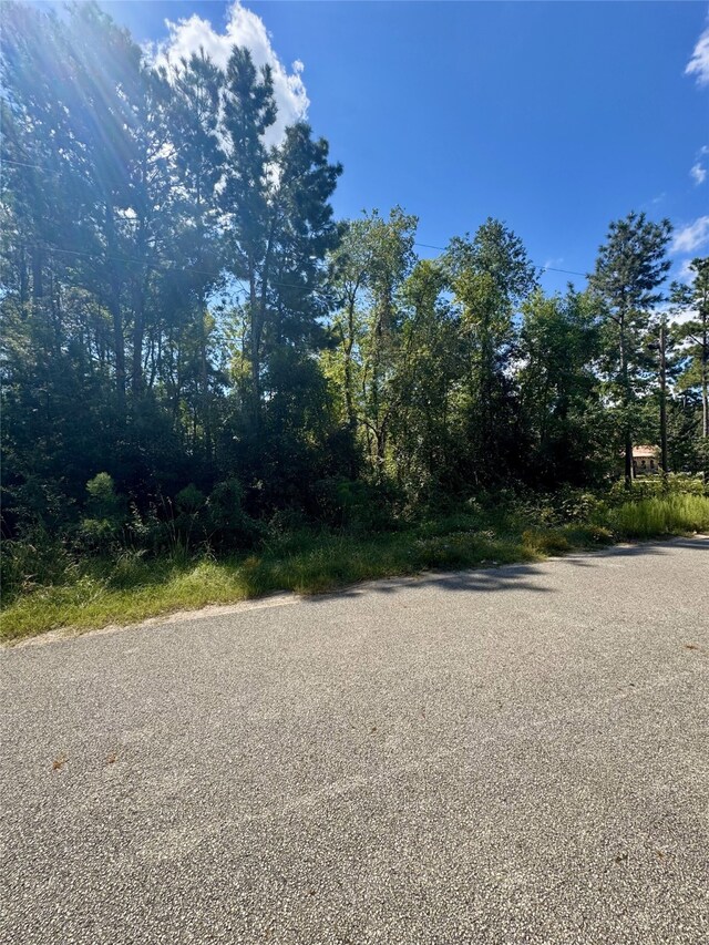 19574 Desna Dr, Porter, TX 77365 - photo 5