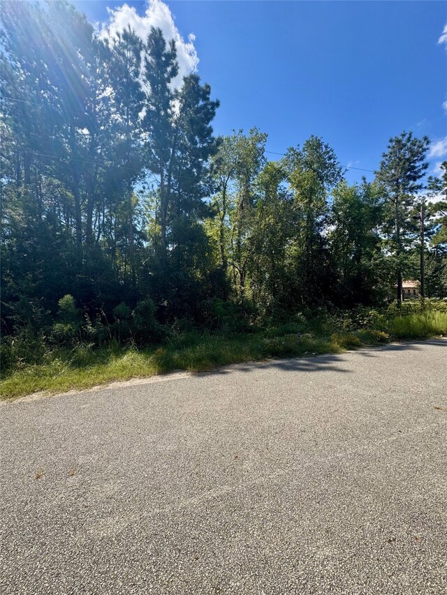 19574 Desna Dr, Porter, TX 77365 - photo 6