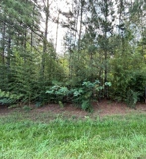 0 S Side, Woodville TX, 75979 land for sale