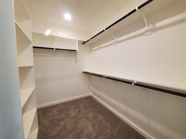 spacious closet featuring dark carpet