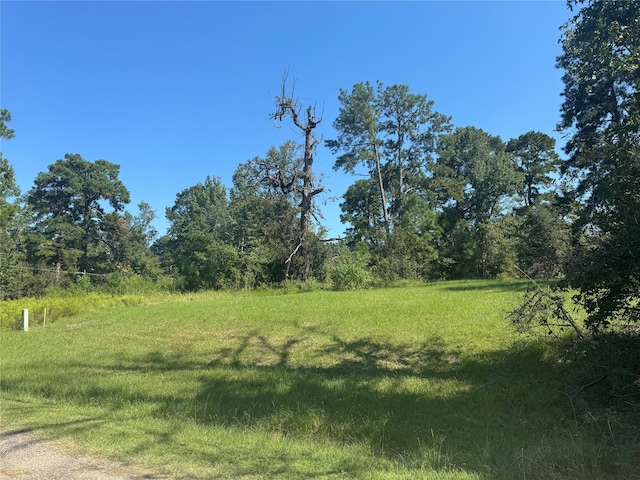 00 Trailwood Ln, Coldspring TX, 77331 land for sale