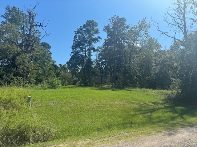 Listing photo 2 for 00 Trailwood Ln, Coldspring TX 77331