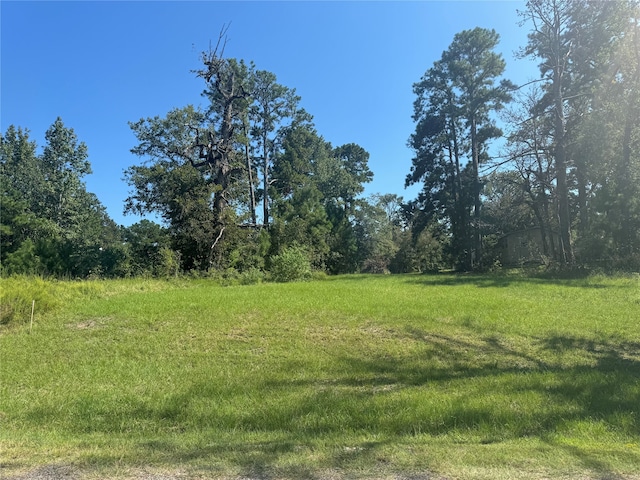 Listing photo 3 for 00 Trailwood Ln, Coldspring TX 77331