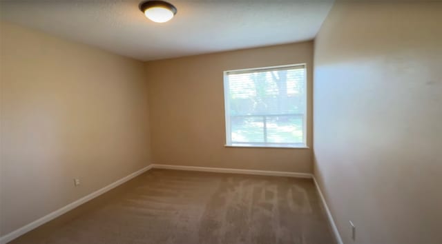 unfurnished room with carpet floors