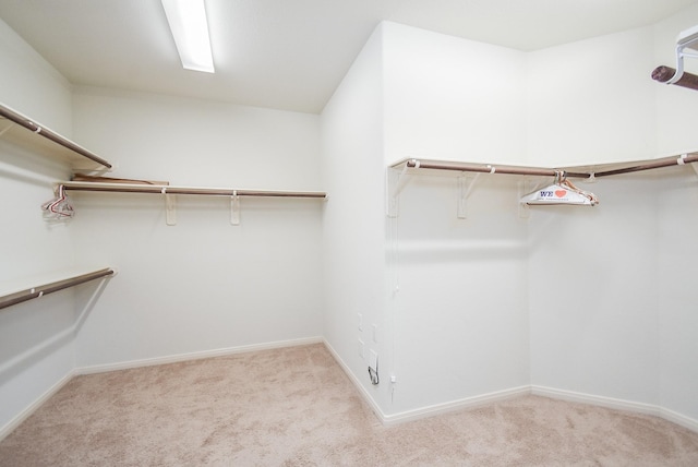 walk in closet featuring light carpet