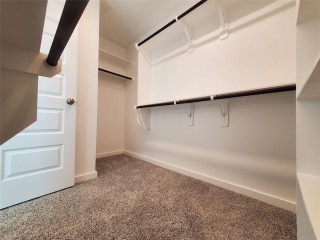 spacious closet with carpet