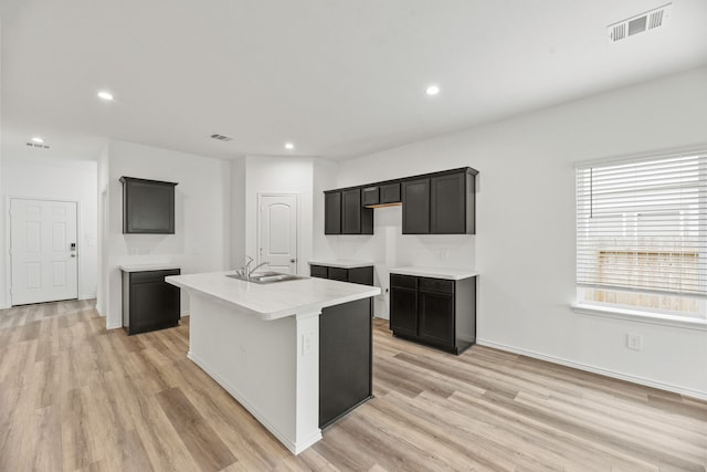 kitchen featuring light hardwood / wood-style flooring, an island with sink, and sink