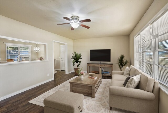 living room with ceiling fan with notable chandelier and dark hardwood / wood-style flooring