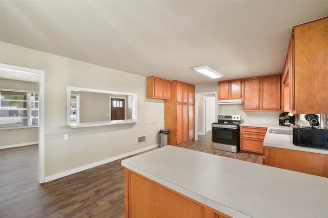 kitchen with sink, stainless steel electric range oven, and dark wood-type flooring