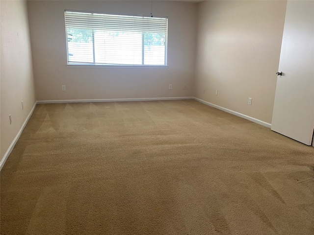 unfurnished room with carpet