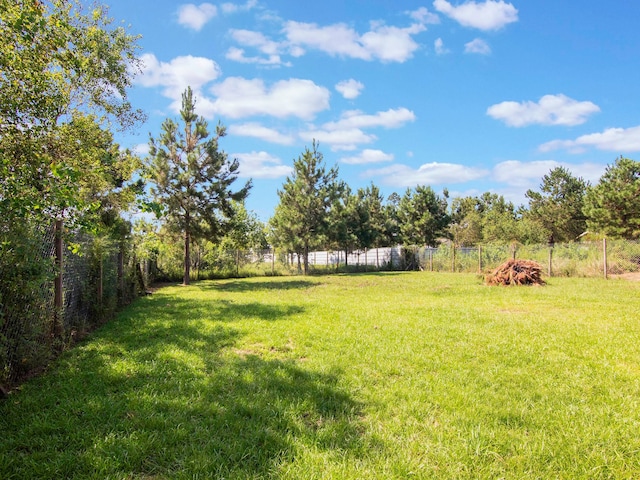 view of yard featuring a rural view