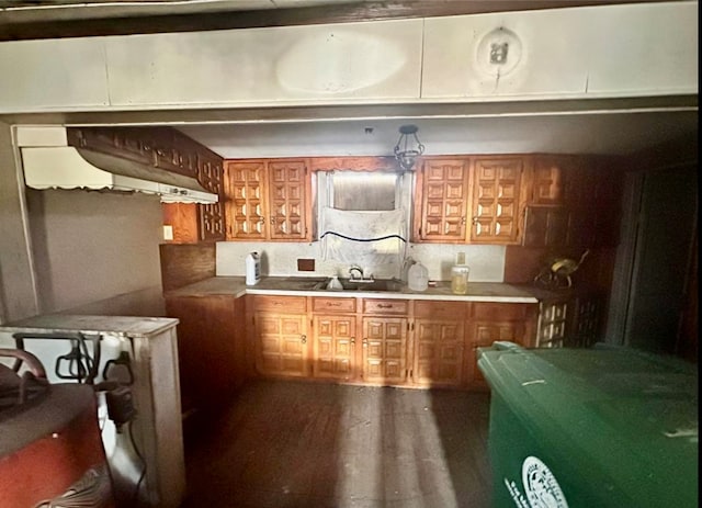 kitchen featuring sink and dark hardwood / wood-style flooring