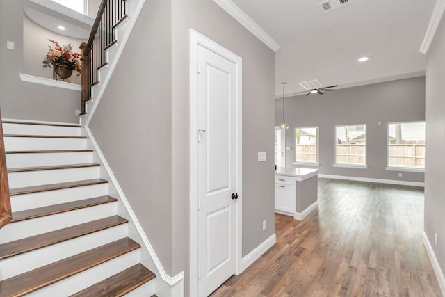 stairway featuring ceiling fan, hardwood / wood-style flooring, and crown molding