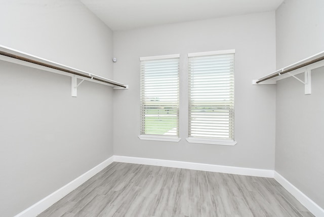 spacious closet featuring light hardwood / wood-style flooring