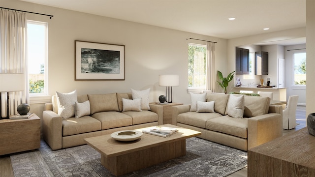 living room featuring hardwood / wood-style floors