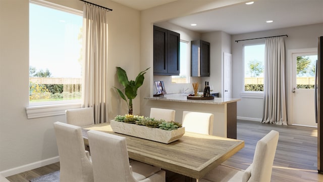 dining room featuring light hardwood / wood-style floors