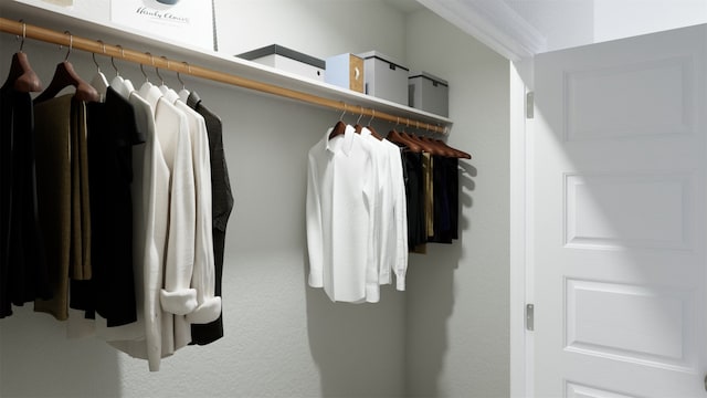 view of closet