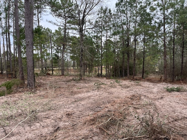 TBD Hollybrook Dr, Trinity TX, 75862 land for sale