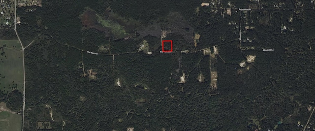 9599 Palmetto Rd, Magnolia TX, 77354 land for sale