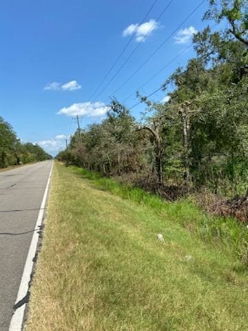 4227 County Road 347th Rd, Brazoria, TX 77422 - photo 8
