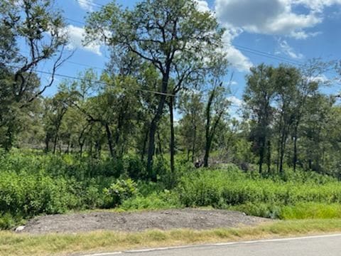 4227 County Road 347th Rd, Brazoria TX, 77422 land for sale