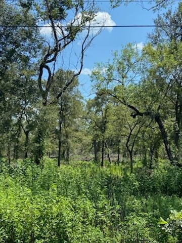 4227 County Road 347th Rd, Brazoria, TX 77422 - photo 12