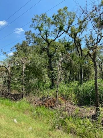 4227 County Road 347th Rd, Brazoria, TX 77422 - photo 9